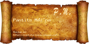 Pantits Mína névjegykártya